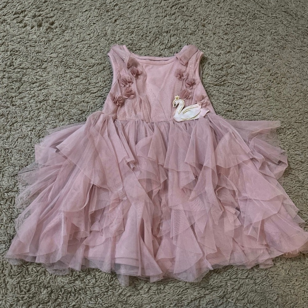 Audrey Camille Pink Tulle Dress with Swan Appliqué